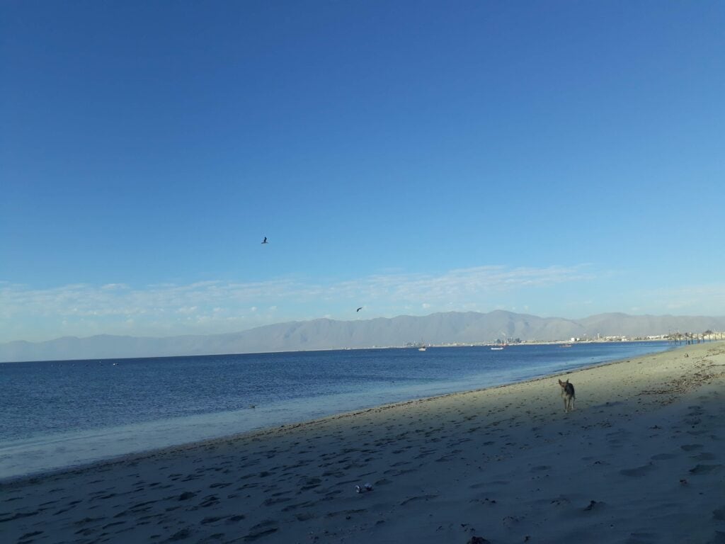playas del norte de chile la rinconada mejillones 2